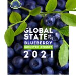 The International Blueberry Organization (IBO) released its annual state of the industry report.