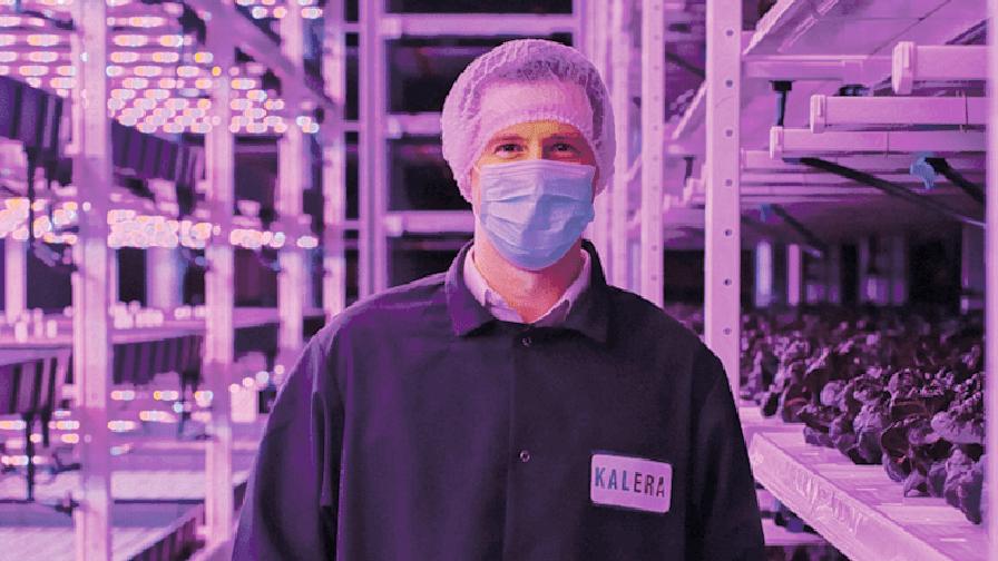 Daniel Malechuk in Kalera vertical farm