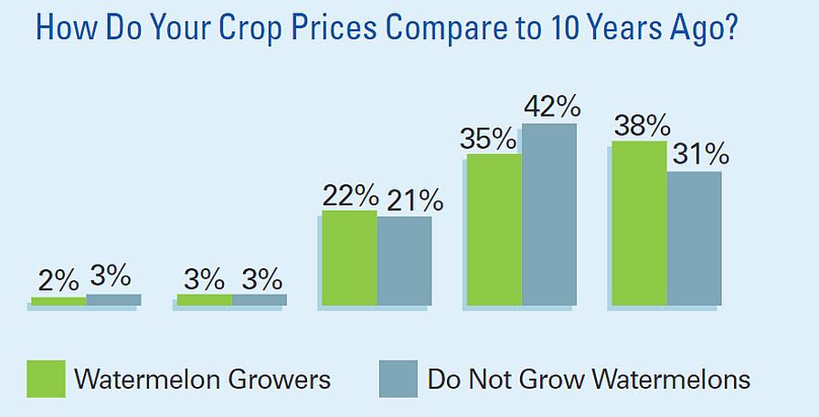Watermelon price comparisons graphic