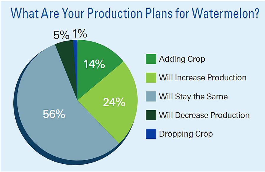 Watermelon production plans graphic