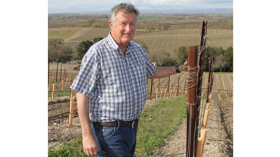 Dana Merrill Paso Robles vineyard