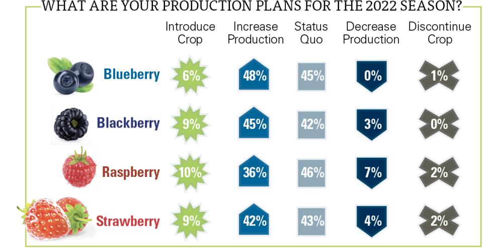 2022 State of the Fruit and Nut Industry berries production plans chart
