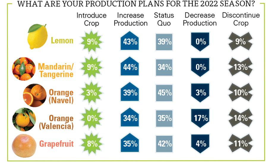2022 State of the Fruit and Nut Industry citrus production plans chart