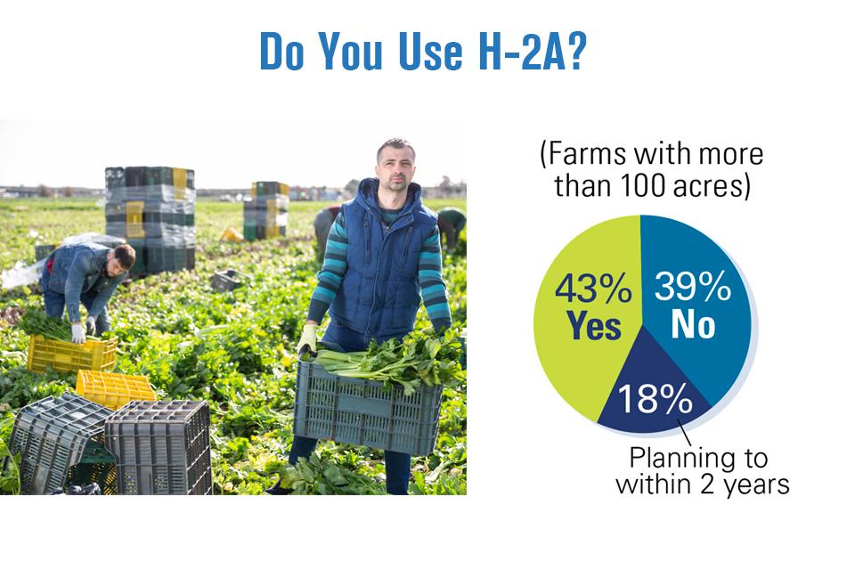 2022 State of the Vegetable Industry survey results on H-2A usage