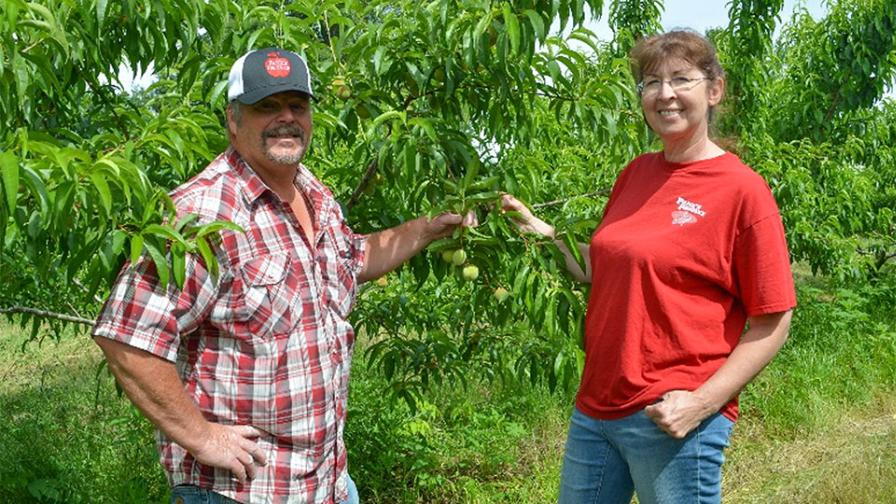 Brian and Kelly Helser in peach orchard