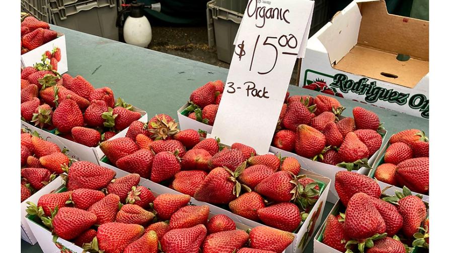 organic strawberries on sale at farmers' market