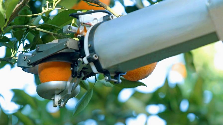 Nanovel tree fruit harvester in action