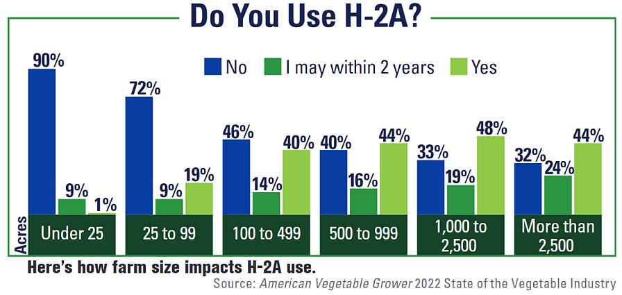 H-2A use among veg growers in 2022 chart