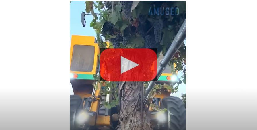 Screen capture of Amused harvester equipment video