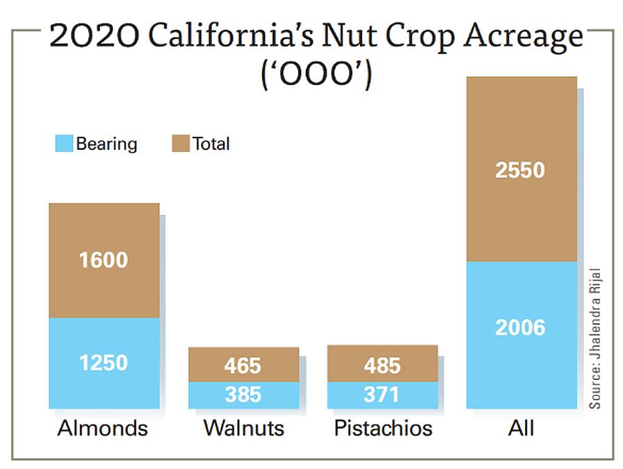 Graph of California nut acreage in 2020