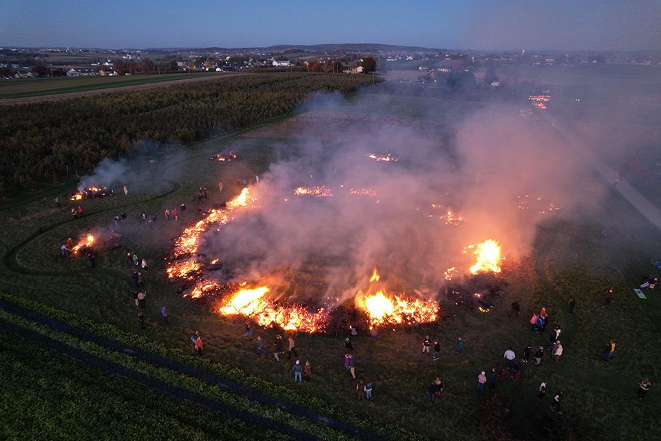 Part of Kauffman Orchards' 'Eulogy for the Apple Trees" ceremony. Trees returning to the earth art installation