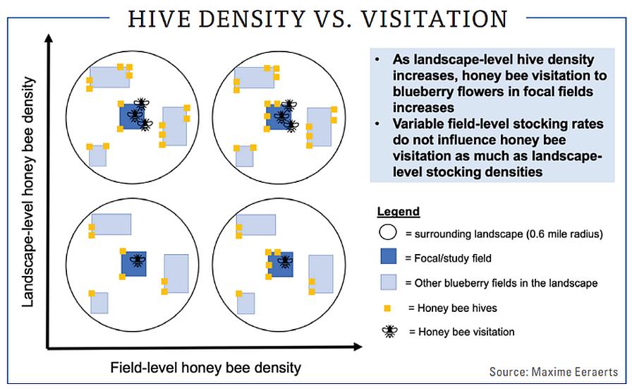Blueberry pollination chart data