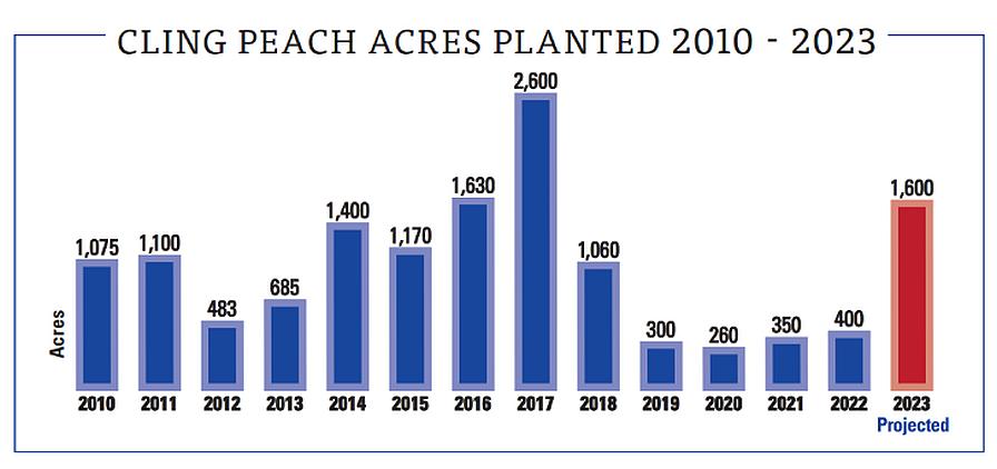 California cling peach acres planted graphic