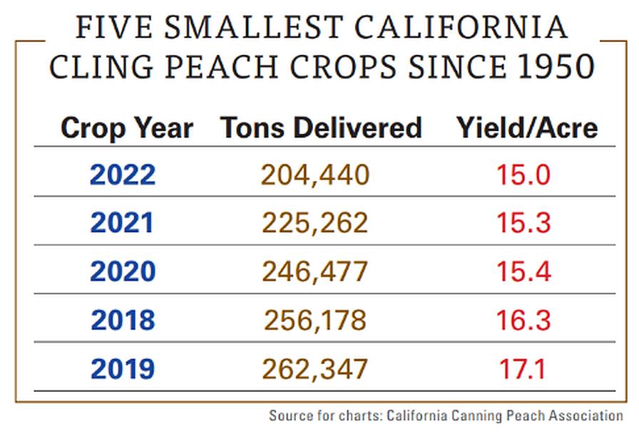 Smallest California cling peach crops graphic
