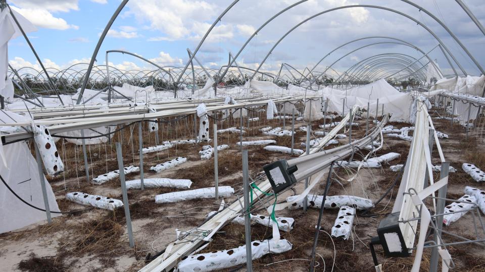 Hurricane Idalia damage to hoop houses in Lafayette County, FL