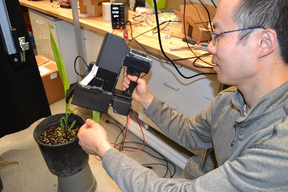 Lab demo of plant phenotyping