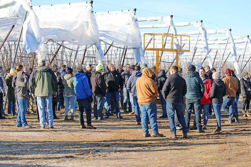 IFTA members gather to see protective coverings on sweet cherries at RIveridge Land Co.
