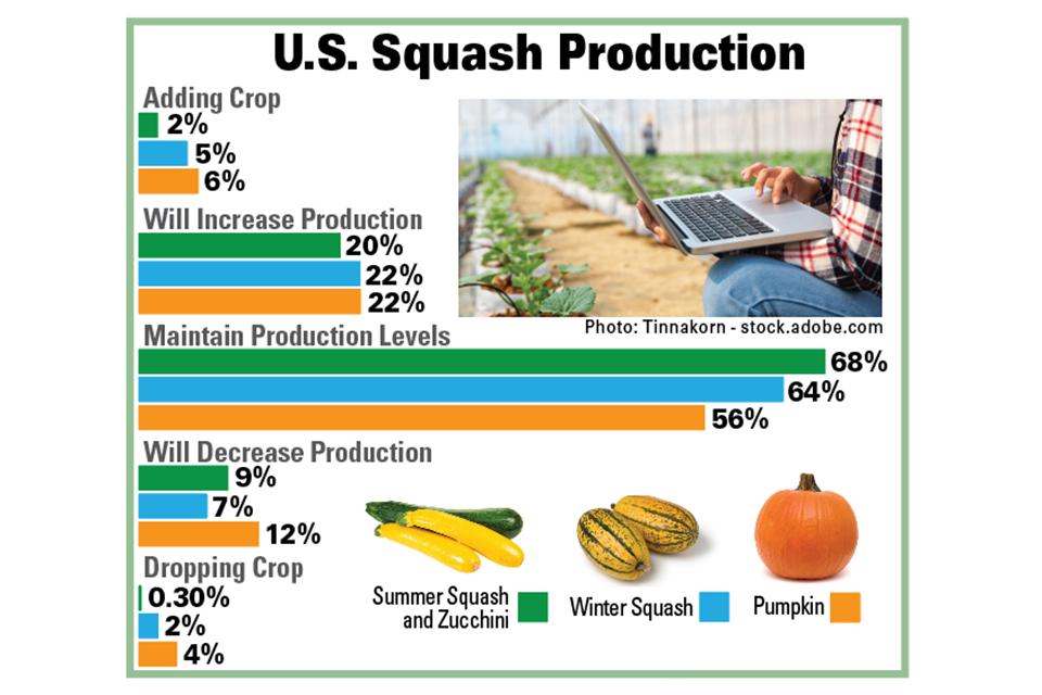 U.S. squash production 2023 chart