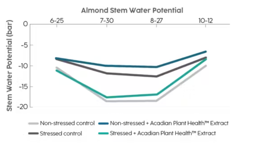 Almonds treated with Acadian biostimulants show improved stem water potential in both stressed and non-stressed situations.