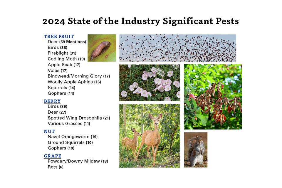 American Fruit Grower 2024 State of the Industry list of significant pests