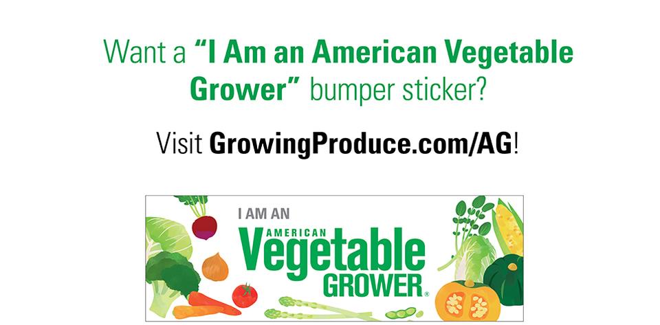 I Am an American Vegetable Grower bumper sticker promo