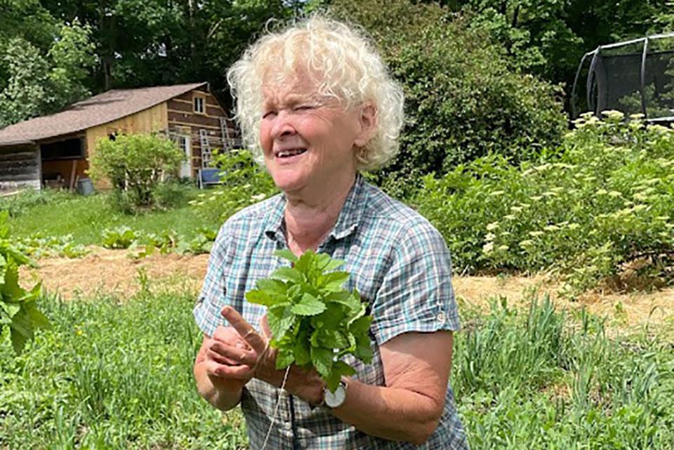 Julie Rawson making bunches of lemon balm