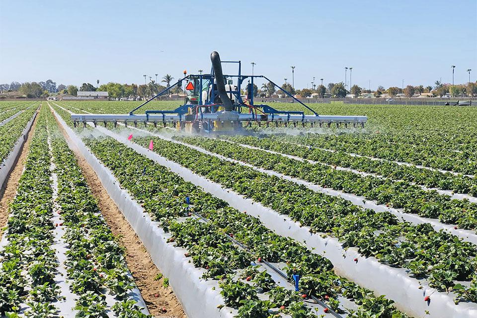 Airtec sprayer at work in strawberry field