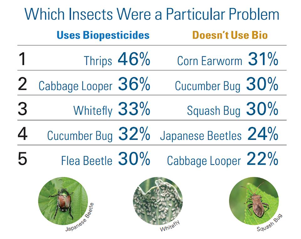 2024 AVG SOI Biopesticides top insect pests chart