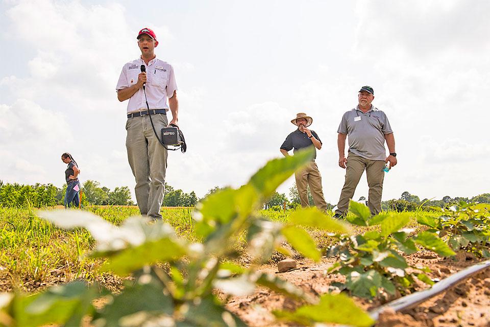 Caneberry weed control seminar in the field with Matt Bertucci of University of Arkansas